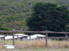 rosella01