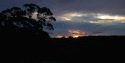 sunset11