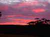 sunset16