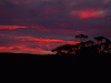 sunset18