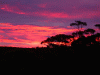 sunset25